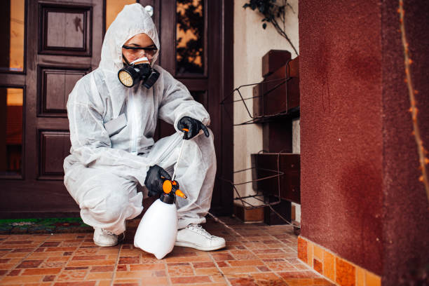 Reliable Bed Bug Control contractor in Midway, KY by Nex Pest Control